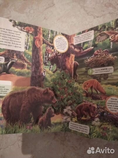 Энциклопедия открытий 