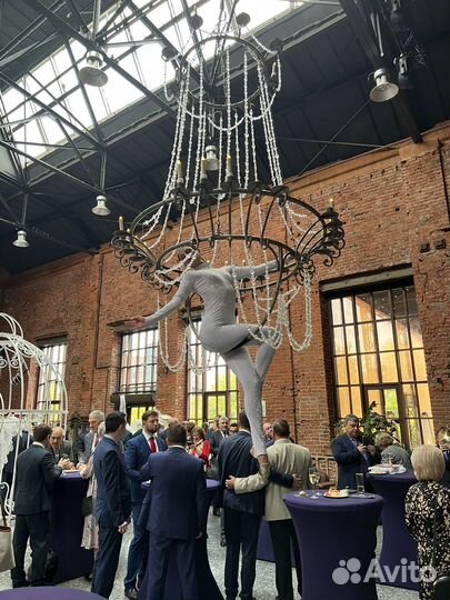 Девушка в бокале / воздушные гимнасты / шоу