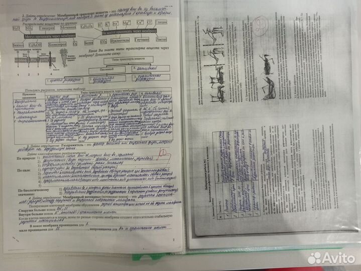 Учебные конспекты