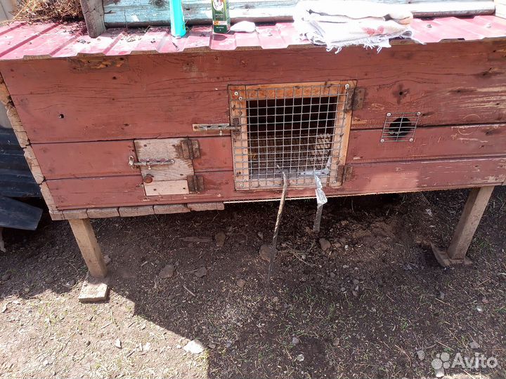 Клетка для кроликов