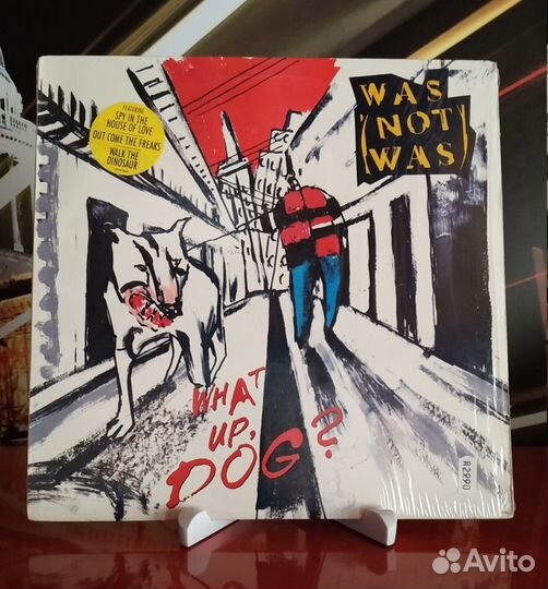 Виниловые Пластинки (LP) Западный Поп, Рок