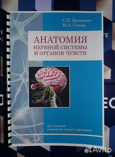 Анатомия нервной системы и органов чувств