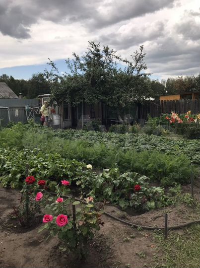 Дача 20 м² на участке 6 сот.