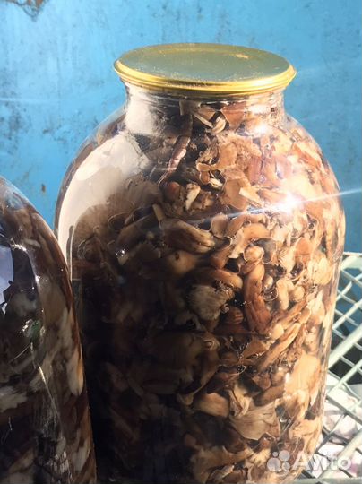 Опята маринованные. Очень вкусные