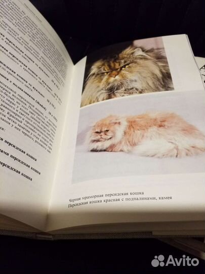 Атлас пород собак, кошек