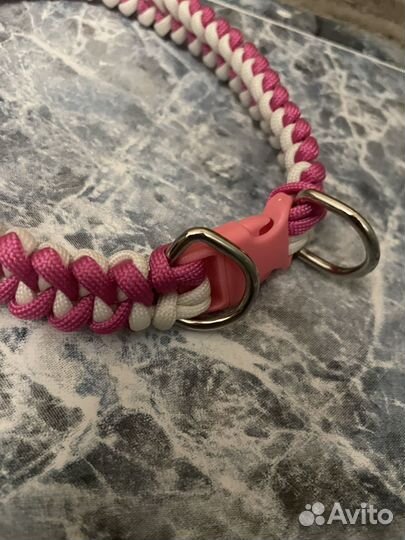 Ошейник для собак