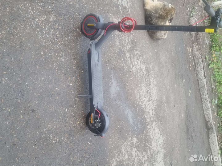 Электросамокат mi xiaomi pro2
