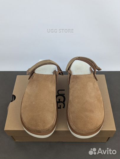 Сабо ugg goldenstar Clog chestnut