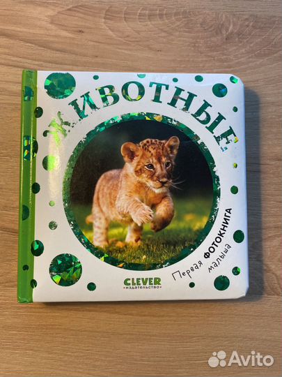 Книга для малыша Clever