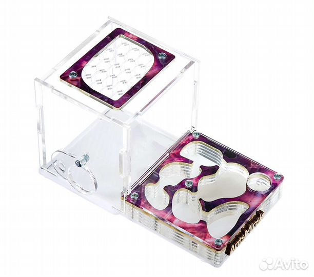 Муравьиная ферма с муравьями в комплекте