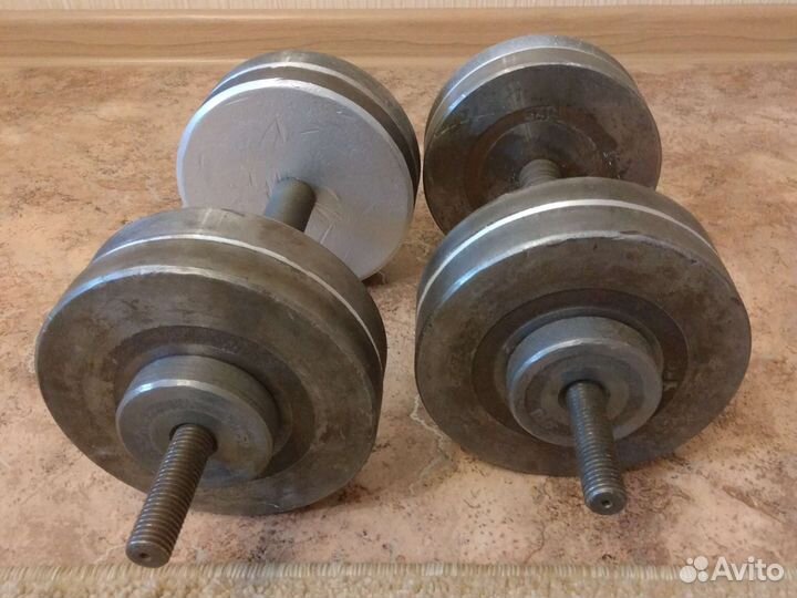 Гантели разборные