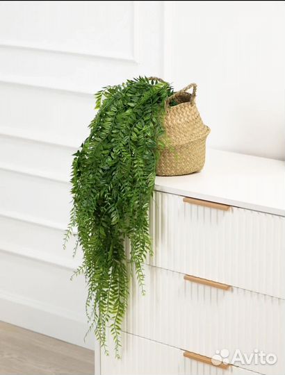 Ампельная зелень для декора свисающаяся