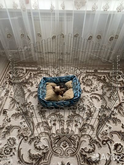 Вольер для собак, щенков, б/у