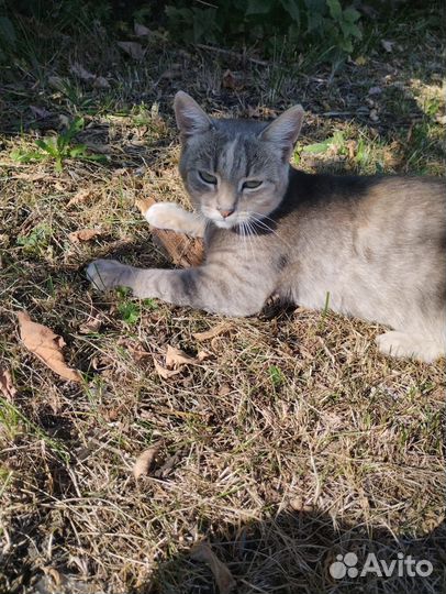 Очень нужен дом