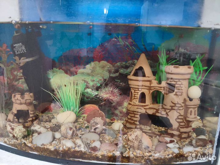 Аквариум