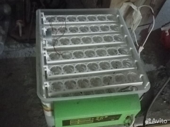 Инкубатор для яиц автоматический