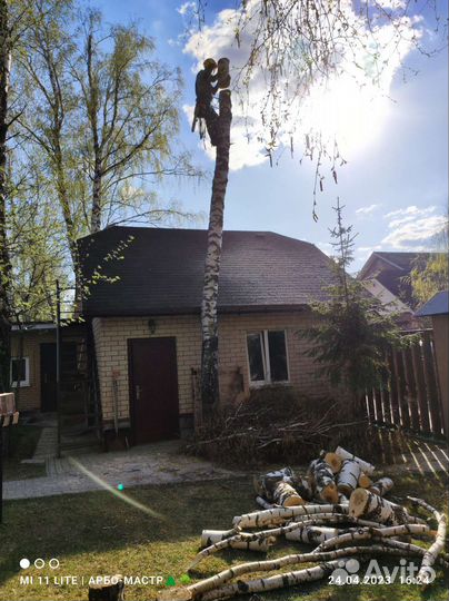 Спил деревьев Г. новопетровское