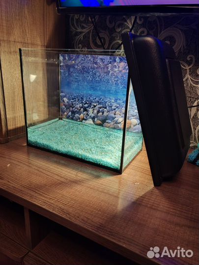 Аквариум