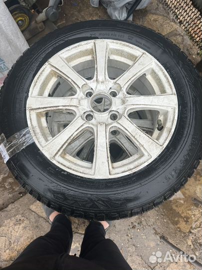 Nordman 5 185/65 R15