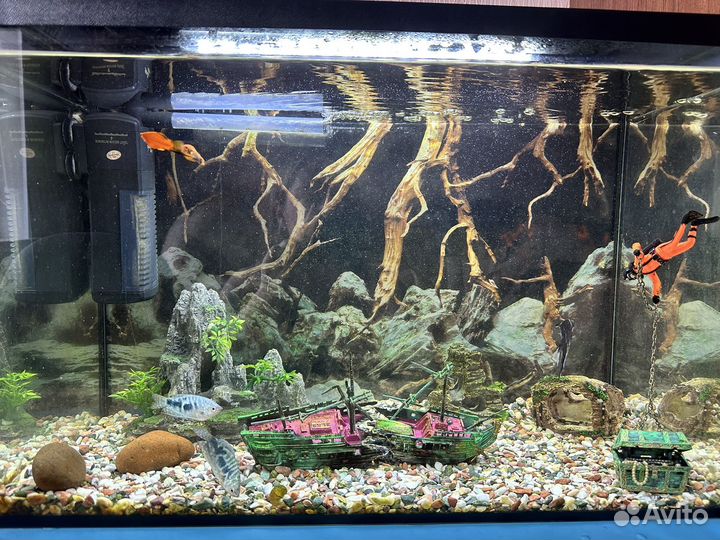 Аквариум с рыбками