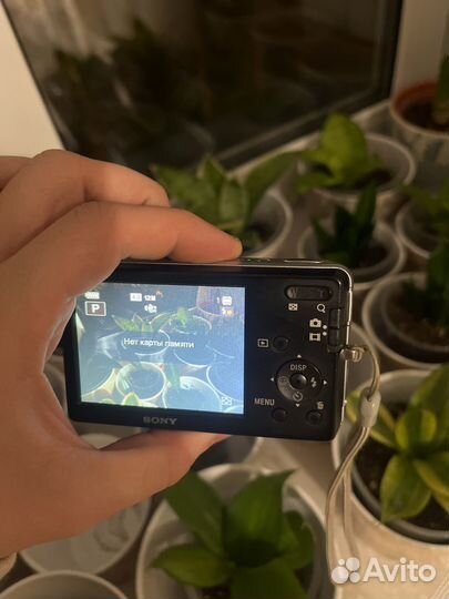 Цифровой фотоаппарат sony dsc-w310