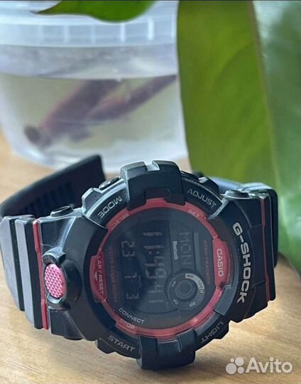 Casio g shock gbd 800