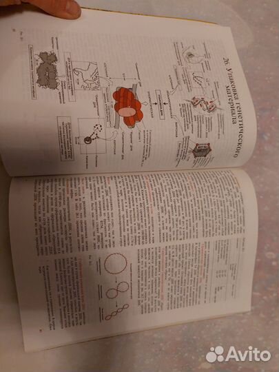 От клеток к атомам Рис Стернберг