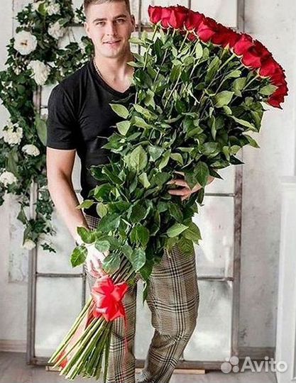 101 роза цветы букеты доставка 25 51 101 роза