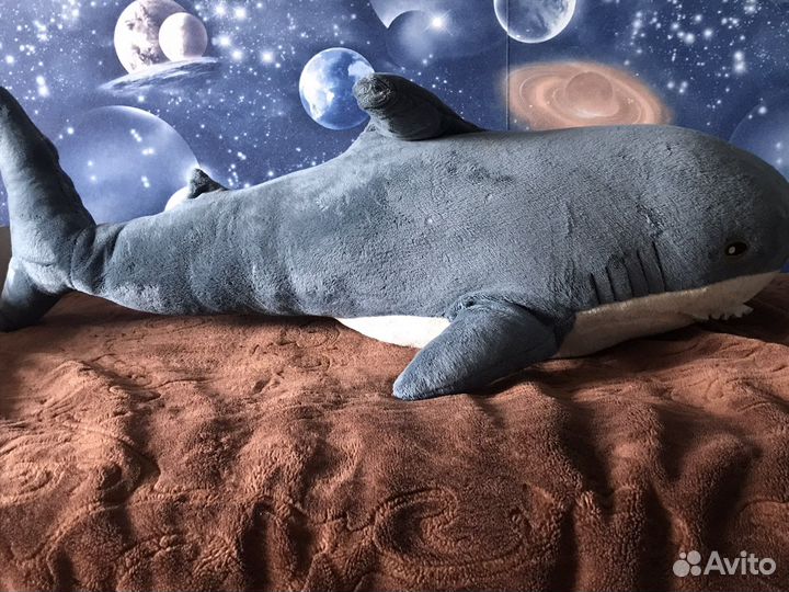 Акула и гусь