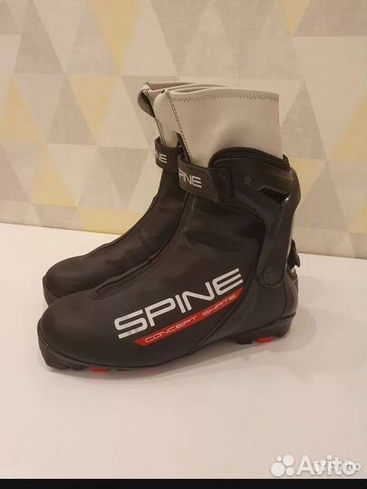 Лыжные ботинки spine