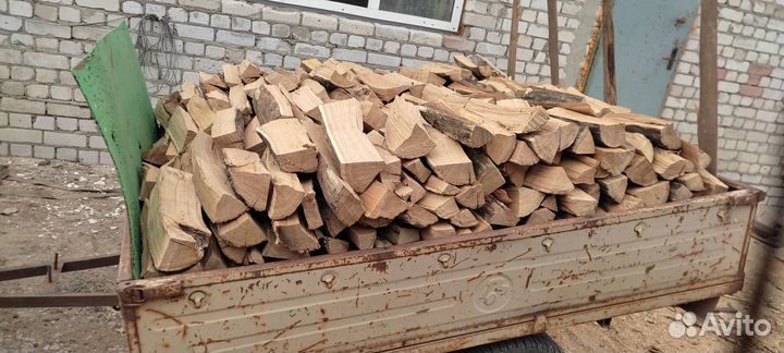 Дрова дубовые