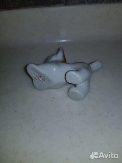 Лисенок, рысенок зхк Полонное