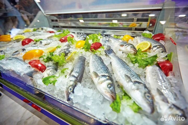 Купить прибыльный магазин рыбы и морепродуктов