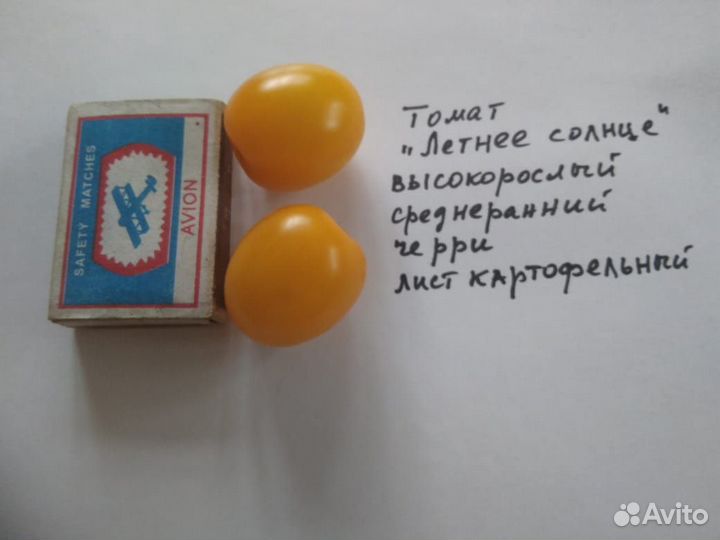 Семена томатов (сортовые)