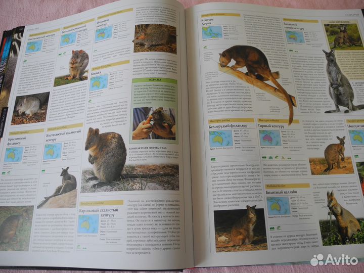 Энциклопедия животных всего мира