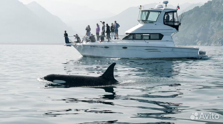 Аренда яхты, рыбалка, морские прогулки
