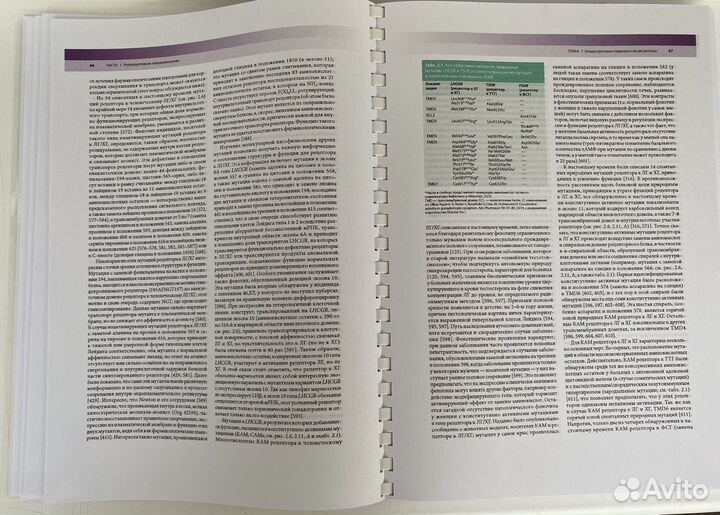 Репродуктивная эндокринология