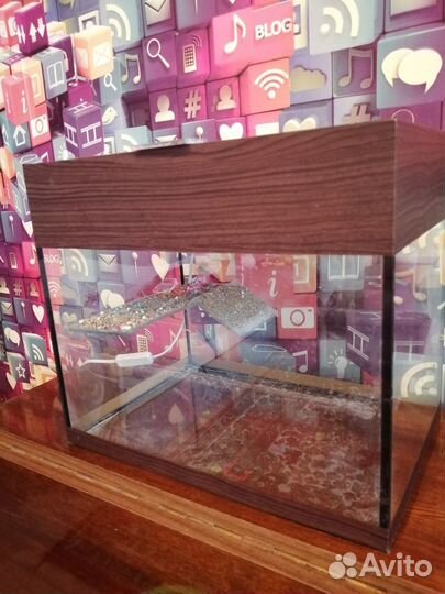 Террариум для черепахи