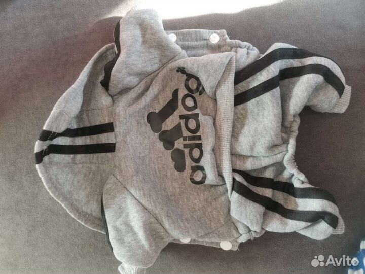 Одежда для собак мелких пород