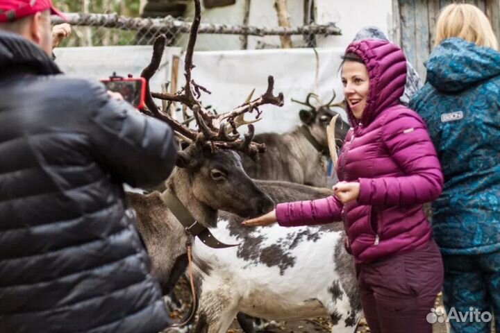 Камчатка. В Гости к Аборигенам