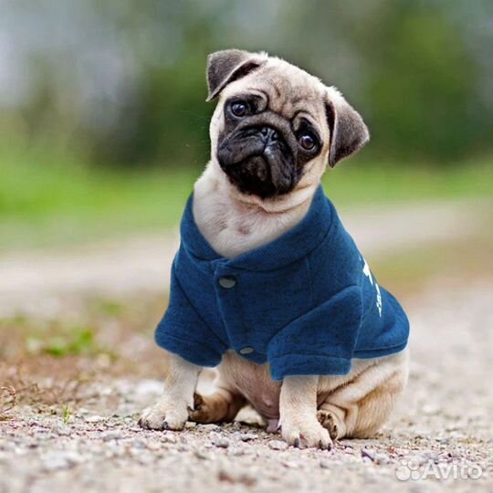 Одежда для животных кофта свитер новый