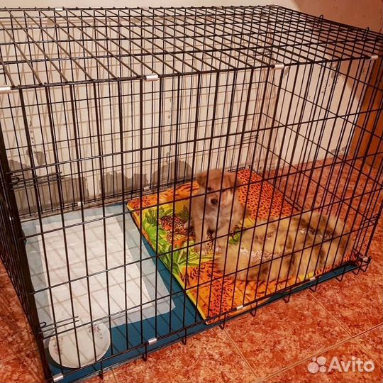Клетка для большой собаки