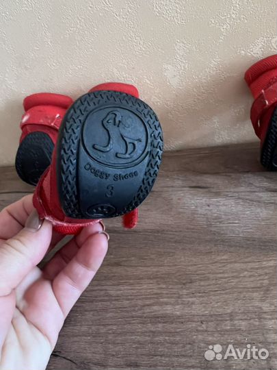 Ботинки для собак