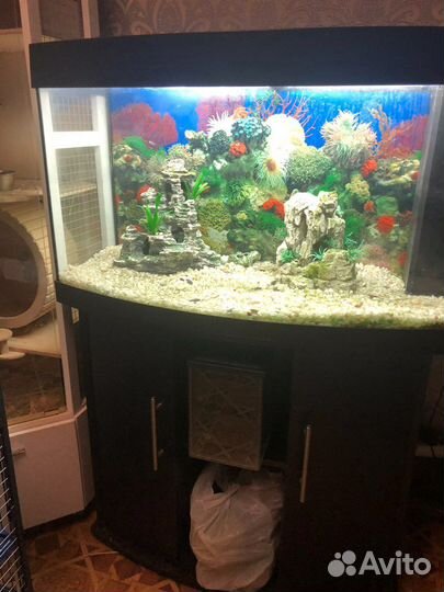 Аквариум