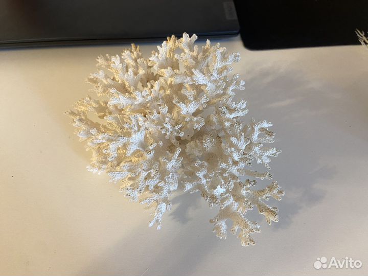 Декор для аквариума