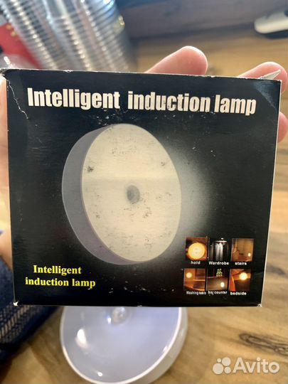 Intelligent induction lamp