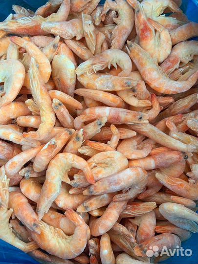 Креветки
