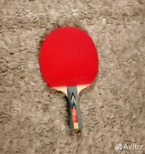 Ракетка для настольного тенниса DHS 3002