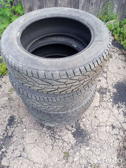 Tigar Winter 215/60 R17 96H
