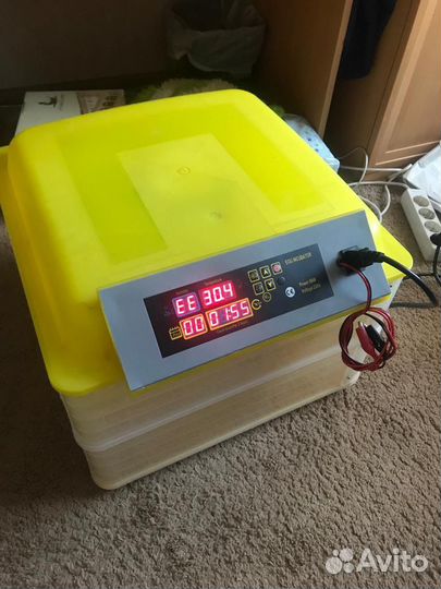 Инкубатор для яиц